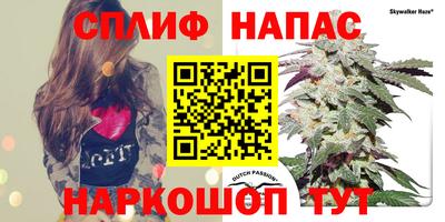 эйфоретик Пугачёв
