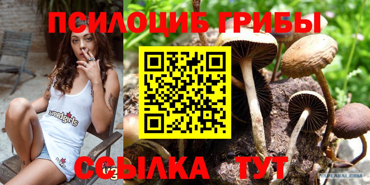 Псилоцибиновые грибы прущие грибы Сарапул