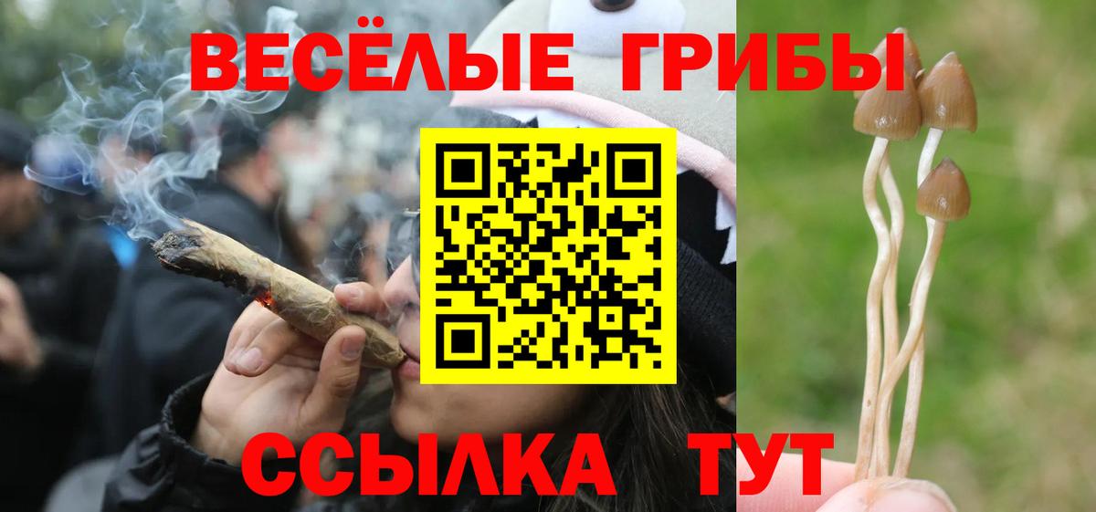 Псилоцибиновые грибы прущие грибы  Вход с VPN  Сарапул  Галлюциногенные грибы мухоморы 